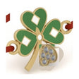 Bratara Placata cu Aur 24k pentru Copii, Snur Rosu, Model Trifoi cu Patru Foi, Verde - vivimall.ro