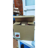 Cutiuta muzicala decorata, Sania lui Mos Craciun, Rosu, din Lemn, 16 cm x 18.5 cm, Interior, Vivimall, Resigilat - vivimall.ro