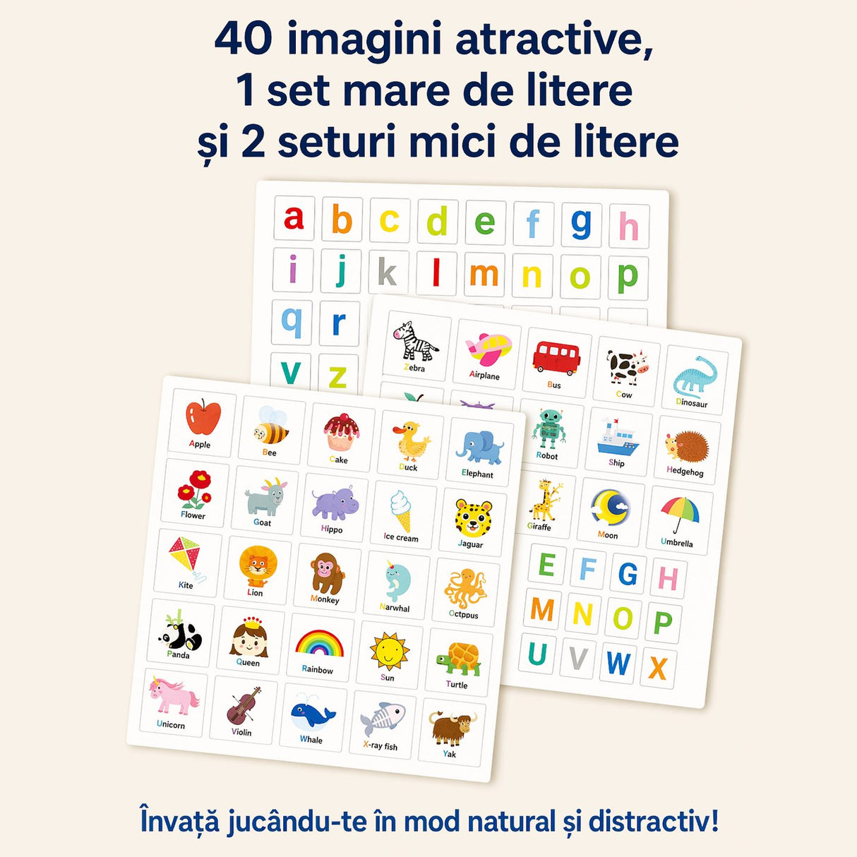 Detaliu elemente magnetice carte Flippy alfabet englez, fixare sigură pe suprafața cartonată