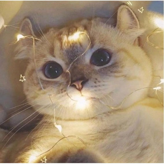 Instalatie Craciun, 10 metri, 100 LED-uri, multicolor RGB, sincronizare muzica, telecomanda 12 de functii, USB, fir cupru, liniar, interior/exterior, Vivimall - vivimall.ro