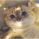 Instalatie Craciun, 10 metri, 100 LED-uri, multicolor RGB, sincronizare muzica, telecomanda 12 de functii, USB, fir cupru, liniar, interior/exterior, Vivimall - vivimall.ro