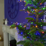 Instalatie Craciun, 85 m, 850 Led-uri ,Liniara, Rosu/Albastru/Rosu/Verde, Flash, Transformator, Interconectabila, Prelungitor 5 m inclus, Fir Verde, Flippy - vivimall.ro