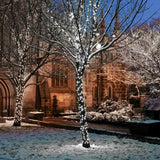 Instalatie Craciun Profesionala de Exterior IP65, 20 m, 200 Led-uri Mari ,Liniara, Alb rece, Interconectabila, Prelungitor 1.5 m inclus, Fir Negru, Vivimall - vivimall.ro