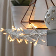 Instalatie de Craciun cu Baterii Tip Liniar, 2 jocuri de lumini, Fir Transparent 2 m 20 LED -uri, Alb Cald - vivimall.ro