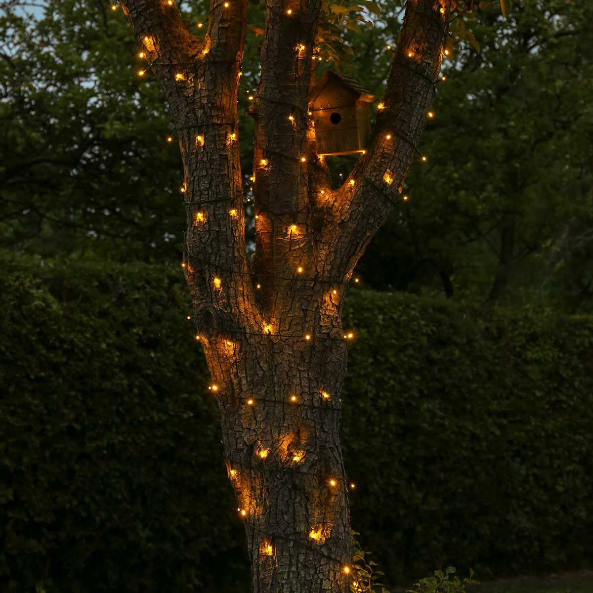 Instalatie de Craciun liniara Yoto, 17 m, din care 1 m cablu priza 220V, 200 LED, 8 jocuri de lumini, controler, fir negru, alb cald - vivimall.ro