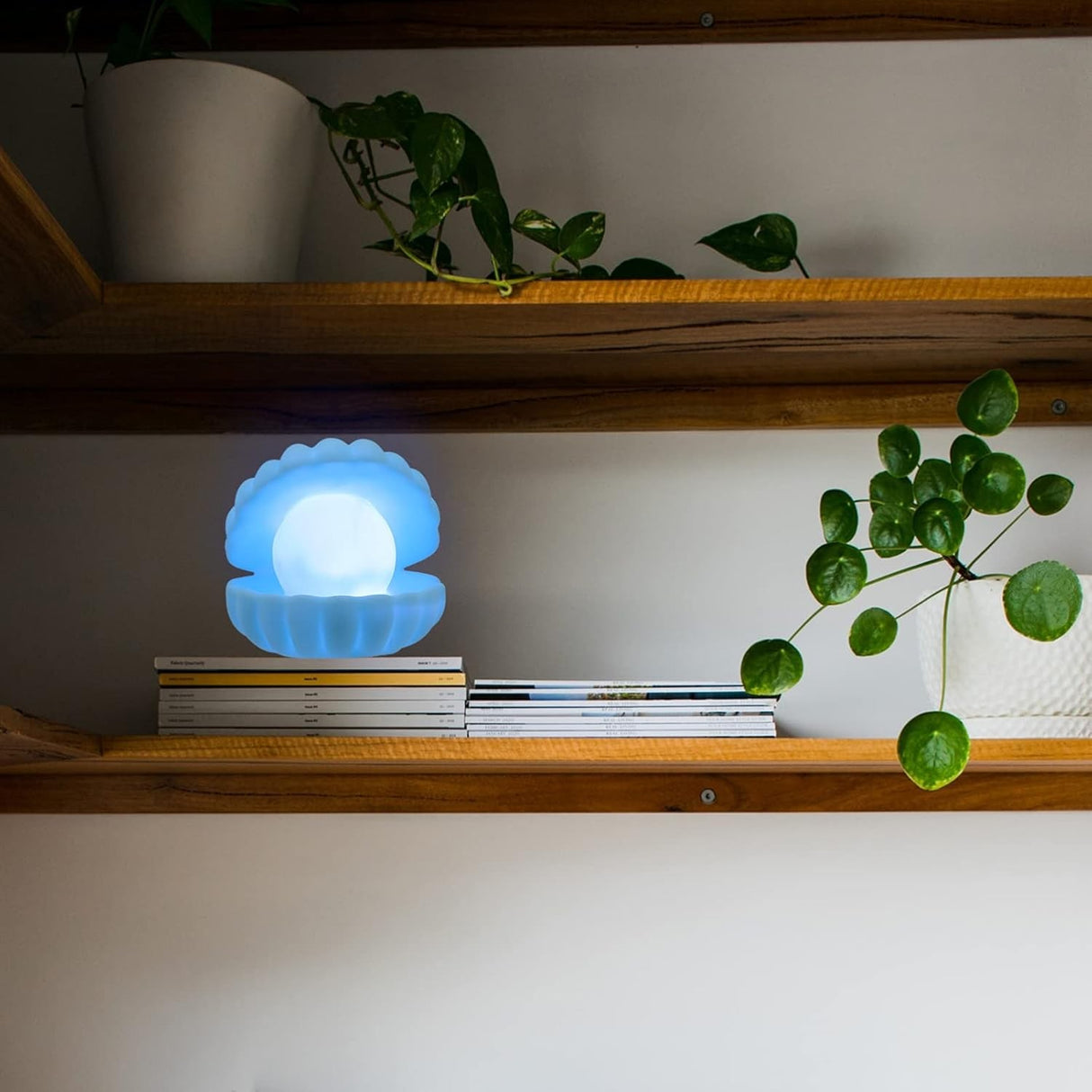 Éjszakai fény, kagyló alakú modell gyöngyökkel, meleg fény, LED, 3 x LR44 elem mellékelve,