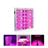 15 W-os LED lámpa növénynövekedéshez | Florix 2