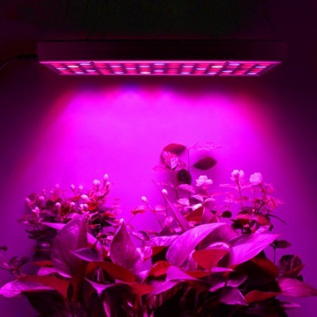 15 W-os LED lámpa növénynövekedéshez | Florix 2