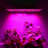 Lampa LED 15W Vivimall, pentru cresterea plantelor in interior, material ABS, cu agatatoare, 25 x 25 cm, multicolor - vivimall.ro