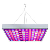 45 W-os LED lámpa növénynövekedéshez | Florix 1