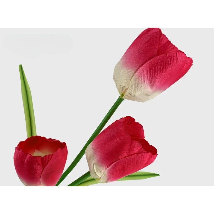 Napelemes lámpa tulipánokkal 3 virággal | BrightLeaf