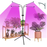 Lampă UV cu lumină mov în funcțiune lângă plante de apartament, rotire 360 de grade