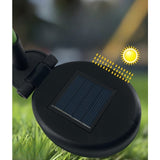 Lampa Solara Led Tip Crizantema Cu O Floare Pentru Gradina, Inaltime 80 Cm - vivimall.ro