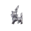 Pandantiv, Jolie Silver, Argint 925, Model Pisica Cu Fundita, 1.5 g, 1 x 1.3 cm - vivimall.ro