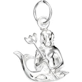 Pandantiv din Argint 925, zodia Varsator - vivimall.ro