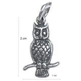 Pandantiv, Jolie Silver, Argint 925, Model Bufnita Pe Creanga, 1.5 g, 2 x 1 cm - vivimall.ro