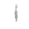 Pandantiv, Jolie Silver, Argint 925, Model Pana, 0.6 g, 25x6 mm - vivimall.ro