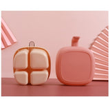 Recipient pentru condimente Vivimall, 4 casute, potrivit pentru sare, cimbru, piper, condimente, 4 lingurite din plastic, capac din plastic, maner, 14x14x8 cm, roz - vivimall.ro