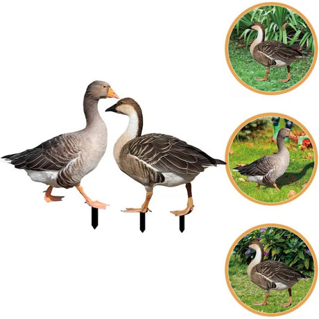 Kerti dekorációs vadliba plakett | NaturDecor