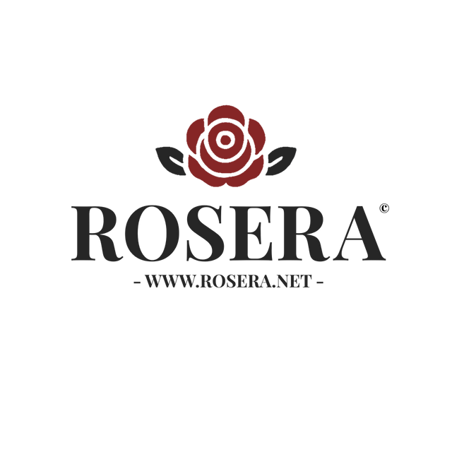 Gel de Dus Tulipan Negro Mandarin și Lime 650ml – Revitalizează-ți Pielea