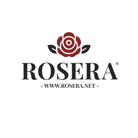 Sence Beauty Set de Curățare Facială 6 Piese – Rosera