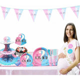 Set 10 Farfurii Gender Reveal, Vivimall, Girl or Boy, din Carton, 22.8 cm, Roz/Albastru - vivimall.ro