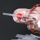 Pai pentru Baloane din Folie, Vivimall, Pai din Plastic pentru Umflarea Baloanelor din Folie, Lungime 8 cm, Transparent - vivimall.ro