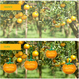 Set 2 Capcane pentru Insecte, Vivimall, Forma de Dovleac, 12x9.2x12.2 cm, din ABS, Portocaliu - vivimall.ro