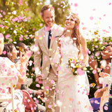 Tun Confetti, Vivimall, Best Wishes, Confetti Inimioare si Paiete, 60 x 5 cm, Roz Auriu - vivimall.ro