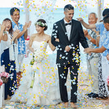 Tun Confetti, Vivimall, Best Wishes, Confetti Inimioare si Paiete, 60 x 5 cm, Roz Auriu - vivimall.ro