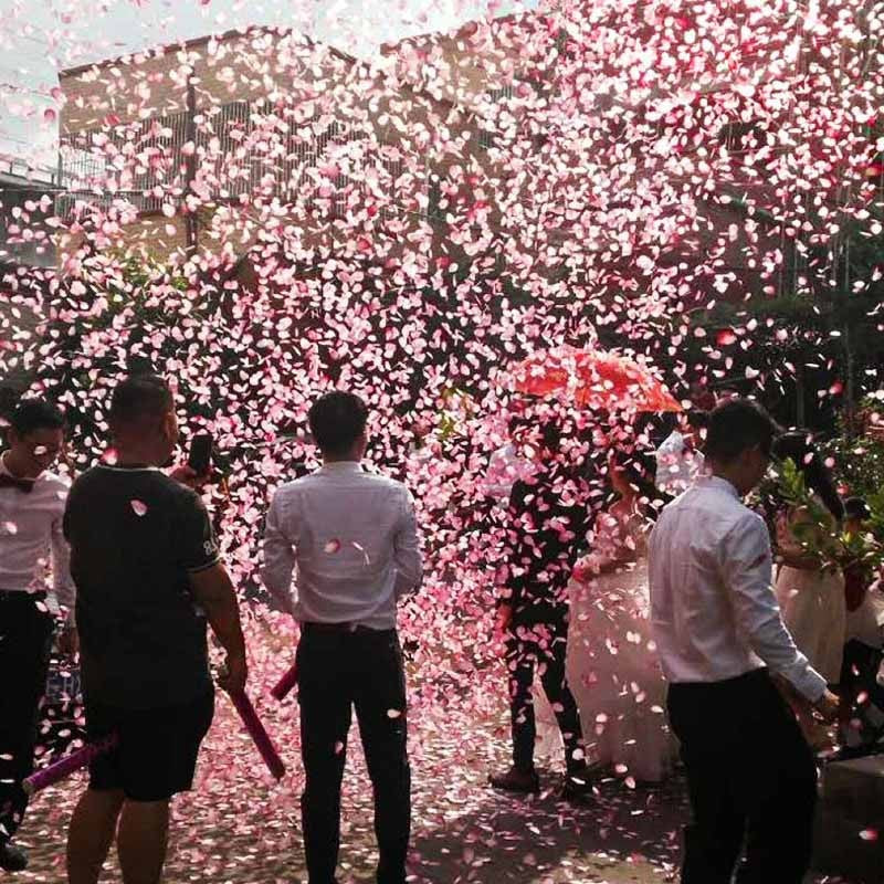 Tun Confetti, Vivimall, Best Wishes, Confetti Inimioare si Paiete, 60 x 5 cm, Roz Auriu - vivimall.ro