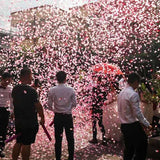 Tun Confetti, Vivimall, Best Wishes, Confetti Inimioare si Paiete, 60 x 5 cm, Roz Auriu - vivimall.ro