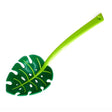 Ustensila bucatarie universala tip frunza, material ABS, creativa, design unic si modern, 30x9.5 cm, verde - vivimall.ro